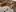 Too risky to keep on my phone so I put them here instead [F]