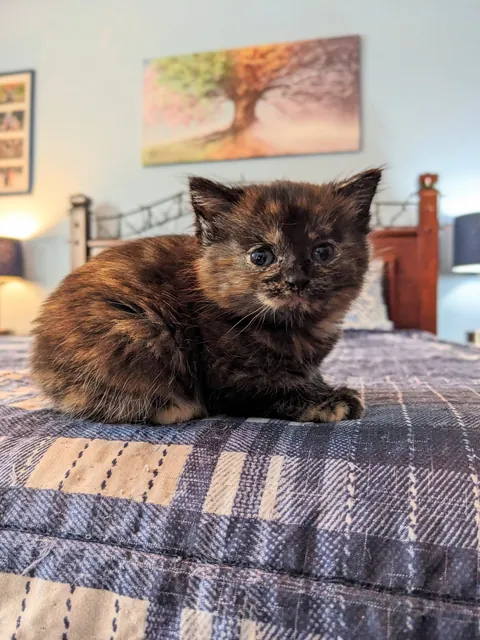 Updates on the sweet ice princess, Elsa!