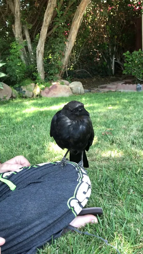 Let me fix your hair!