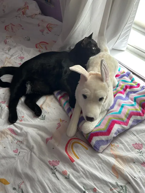 My sweet girl made me tear up this morning….