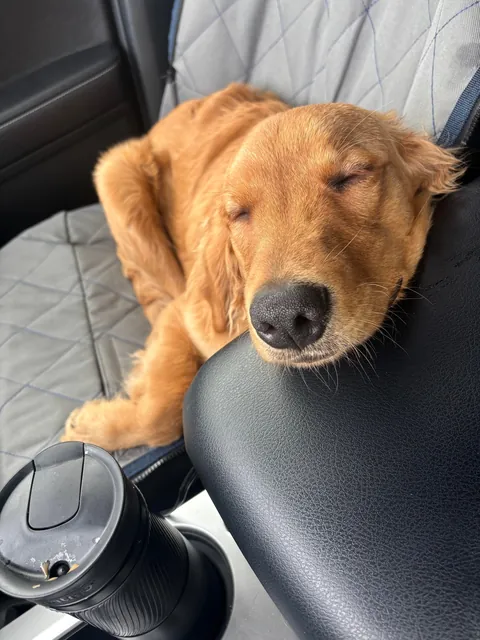 A story in 4 pictures