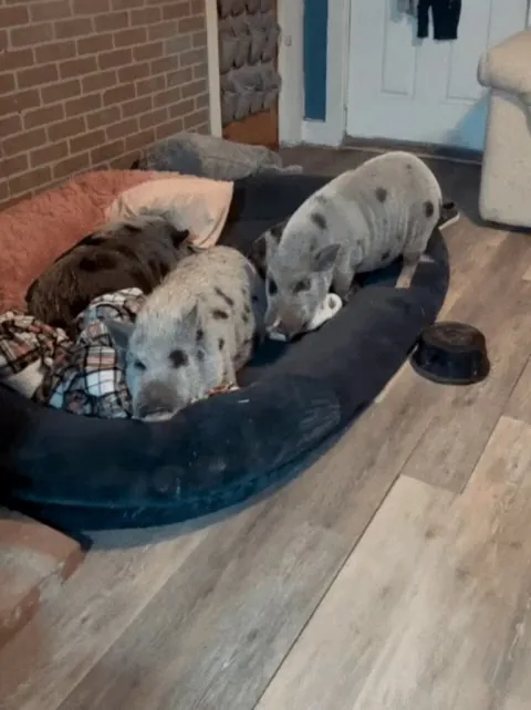 I hate when the person I sleep with hogs the entire blanket