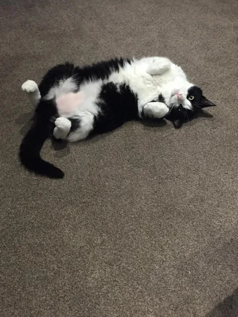 Come on you know you want to touch it