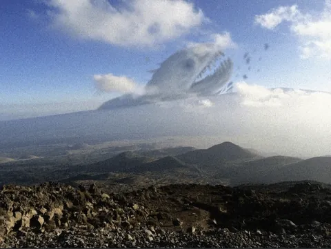 The amazing yet daunting giants of Trevor Henderson style artwork