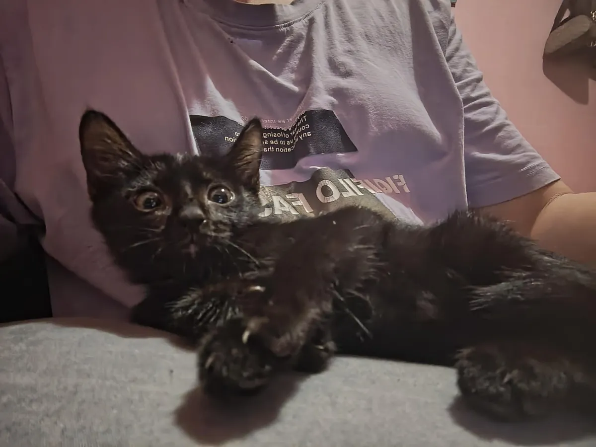 I just wanna flex my new baby