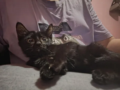 I just wanna flex my new baby