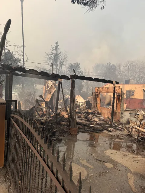 Lost everything in the Eaton fire, but I managed to save these. 