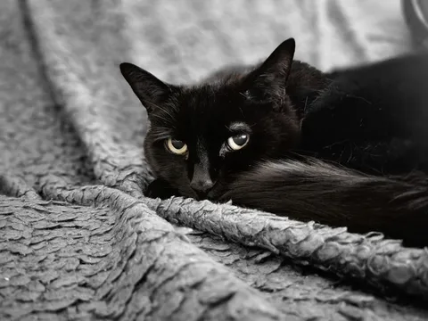 Tomorrow, we say goodbye 💔