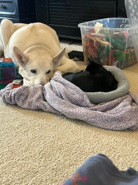 My sweet girl made me tear up this morning….