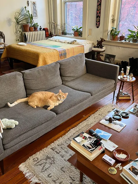 Home Is Where 🐈 Is