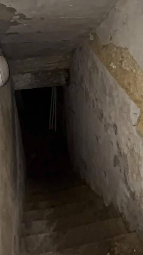 found a network of tunnels and rooms under my house