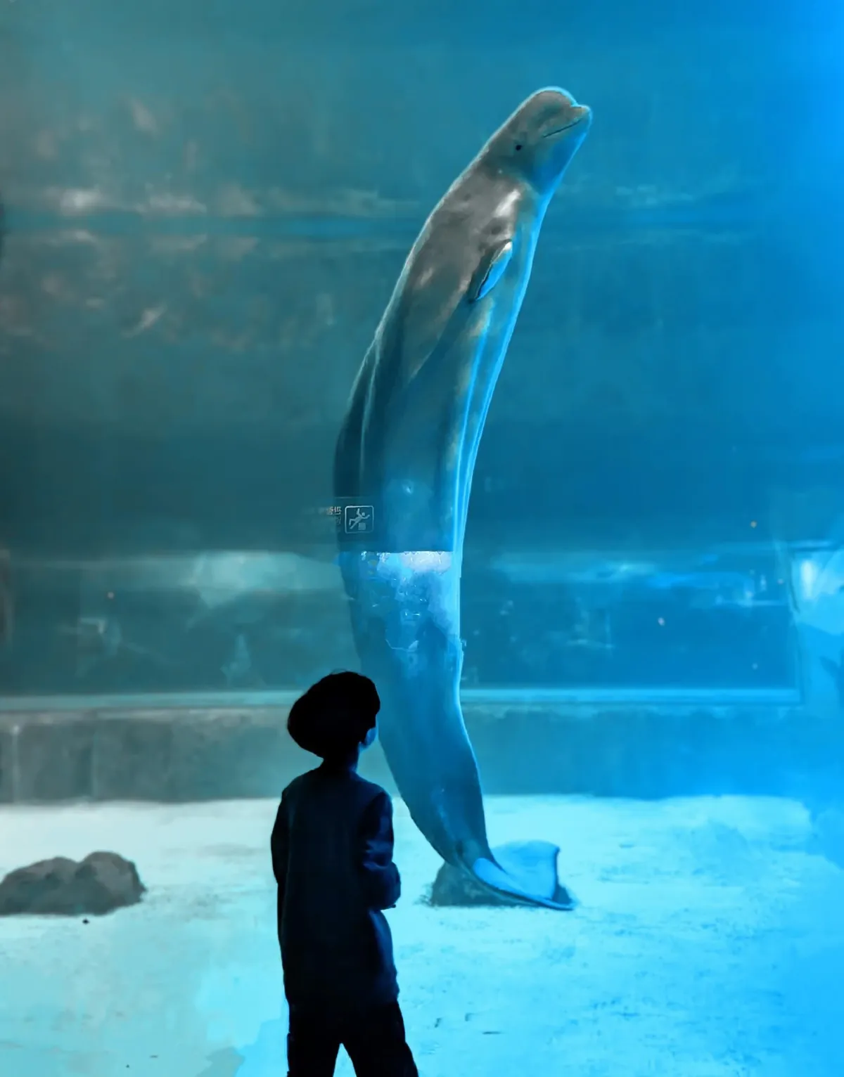 Winter in South Korea