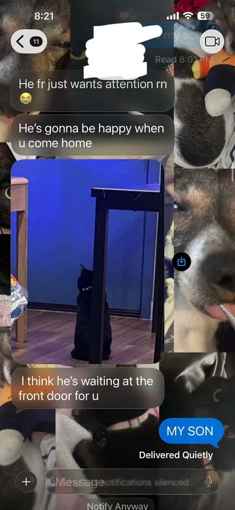 I was out for a week at the hospital for surgery and my sister sent me pictures of what he was doing. He was just standing at our front door waiting for me. The last pic is the day I came home from the hospital🥹