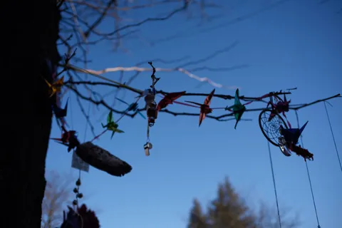 [OC] Alex Pretti memorial 1/28