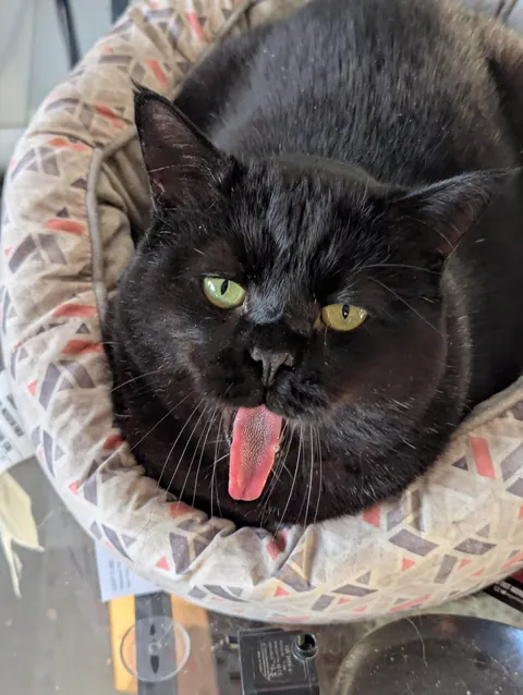 What is wrong with my car?