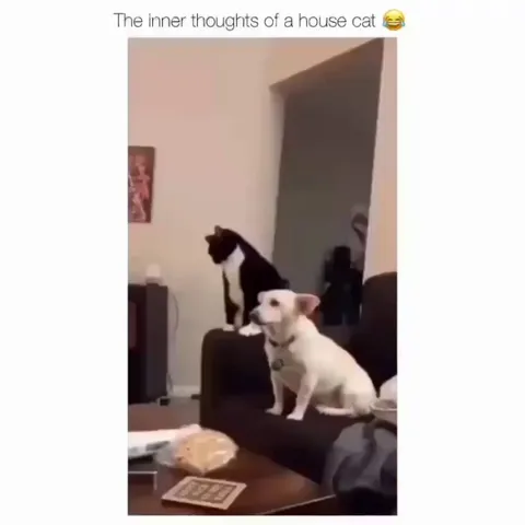 The ears were the straw that filled the glass.