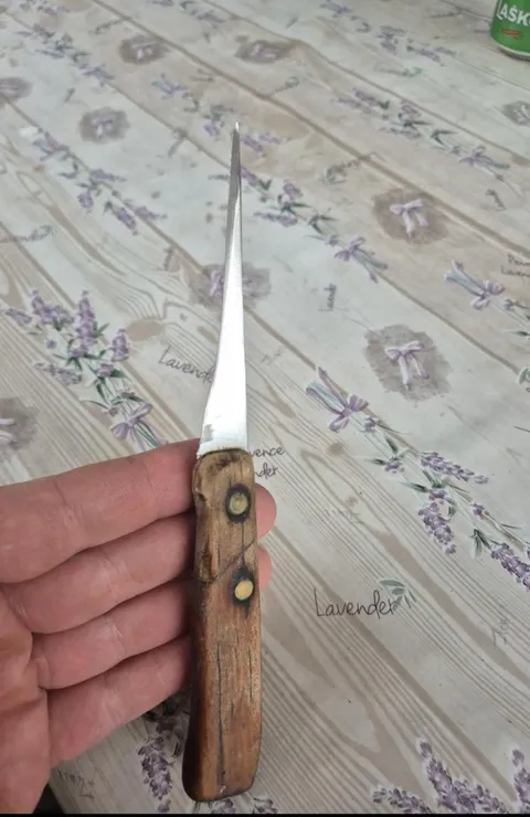 A worn down knife of my grandma. Supposedly 40 years old