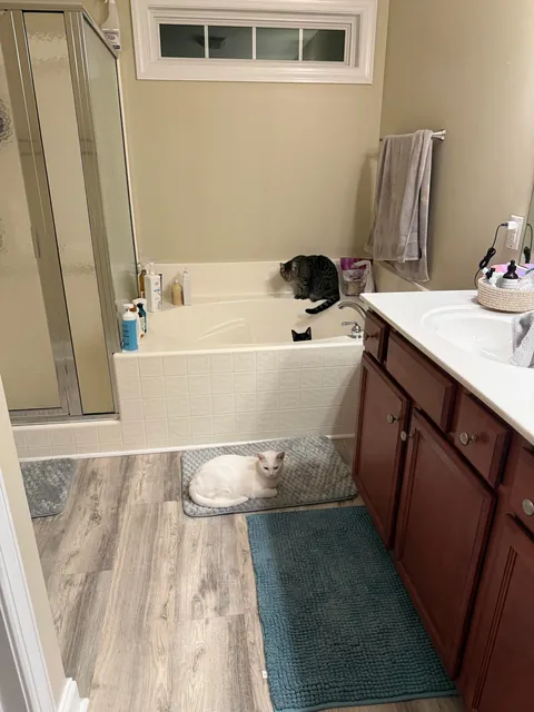 I don’t know why the. Bathroom is the hangout spot