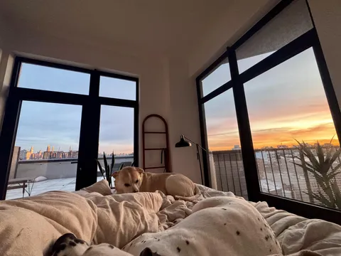 What I wake up to every morning