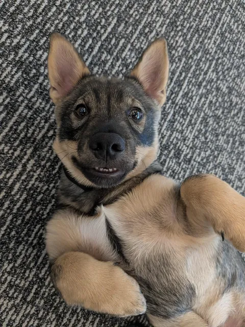 16 weeks and Grayson is already quite the charmer.