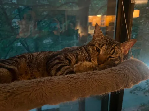 My bubba passed away suddenly.