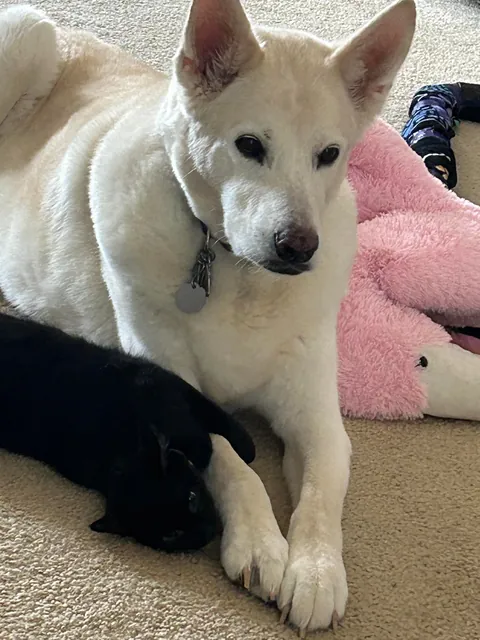 My sweet girl made me tear up this morning….