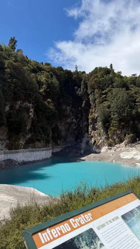 Very Recent Trip to New Zealand (Oct end) Jo