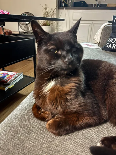 Love of my life beat cancer and turned 18 in Feb! Mr. Frank