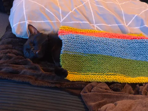 Former stray cat enjoying his cushy indoor life and the blanket my partner knitted for him