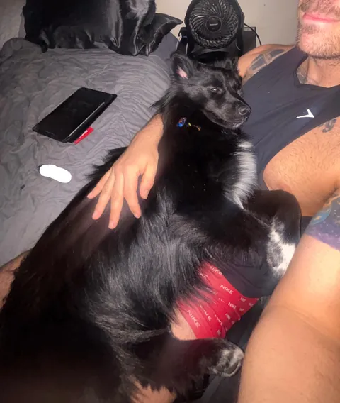 Thanks for checking in, I’d say he’s doing quite well! 3 months with my best friend. Time flies when you’re having fun!