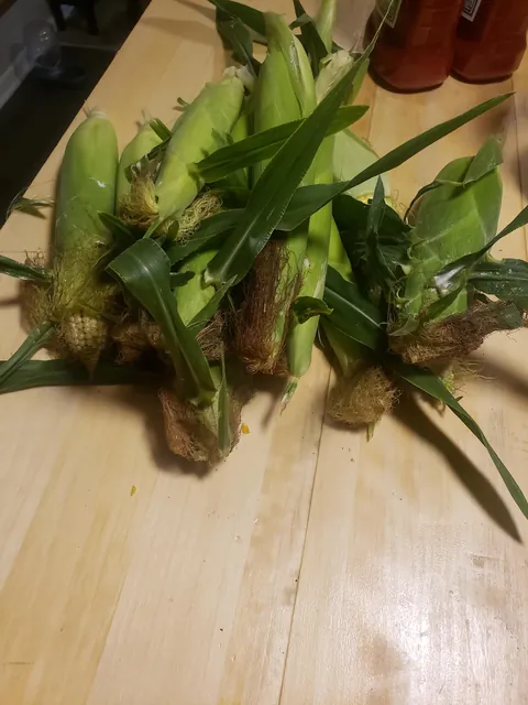 My first time planting a garden. Didn't have anyone to share these with. It's not much but I'm proud of it.