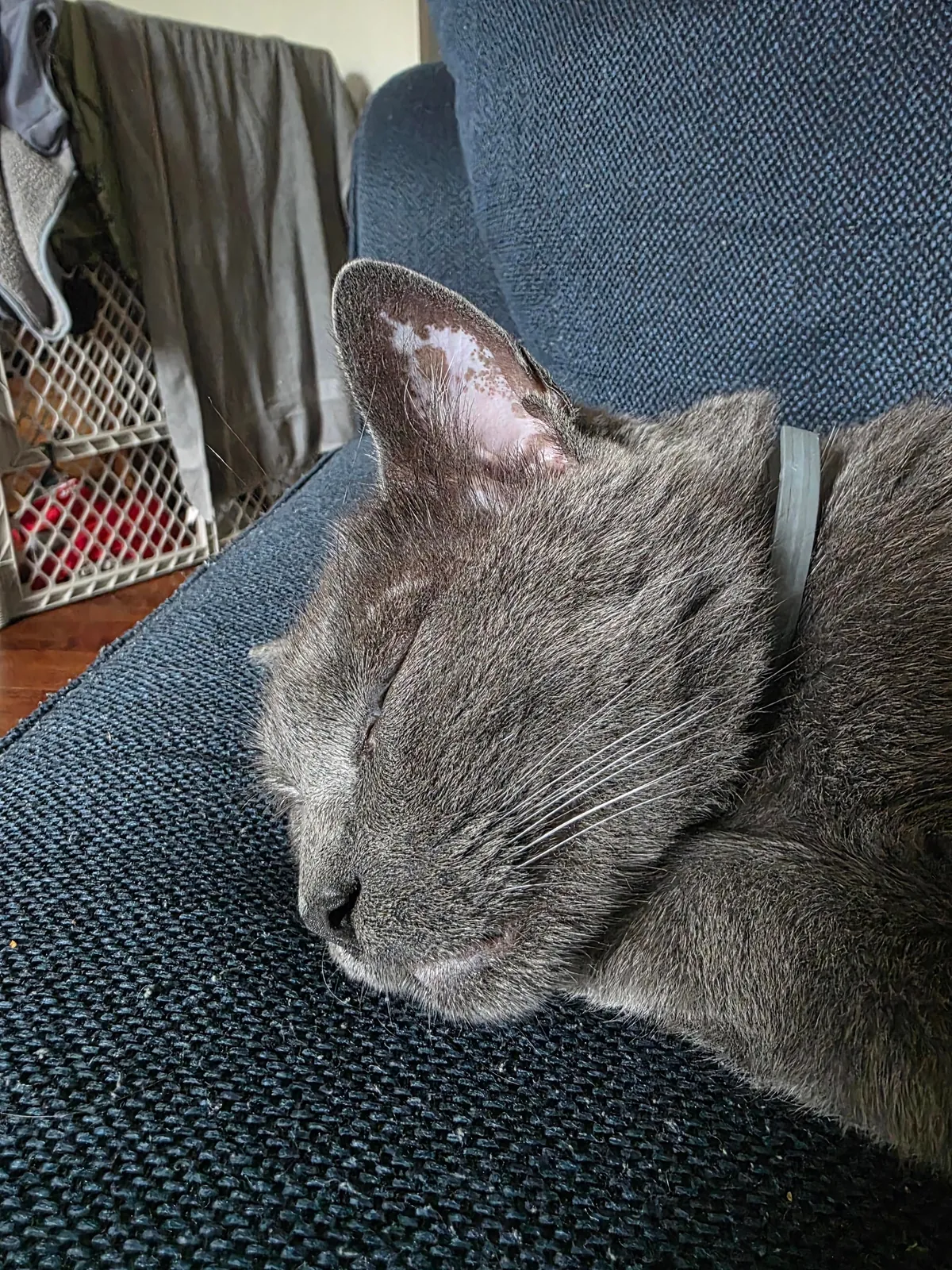 People are the worst