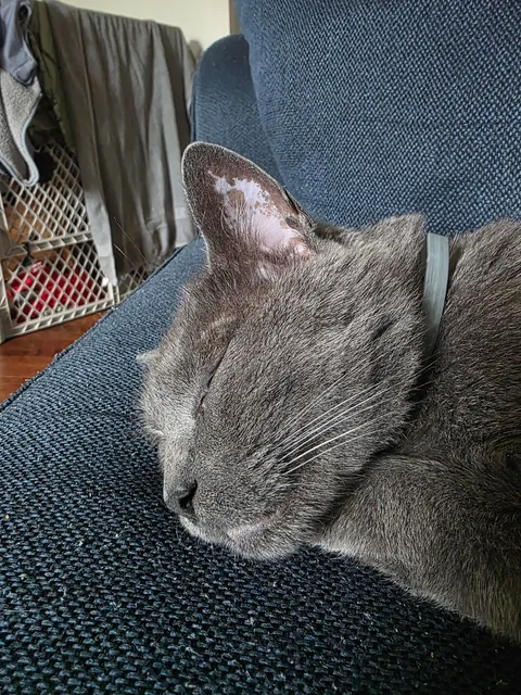 People are the worst