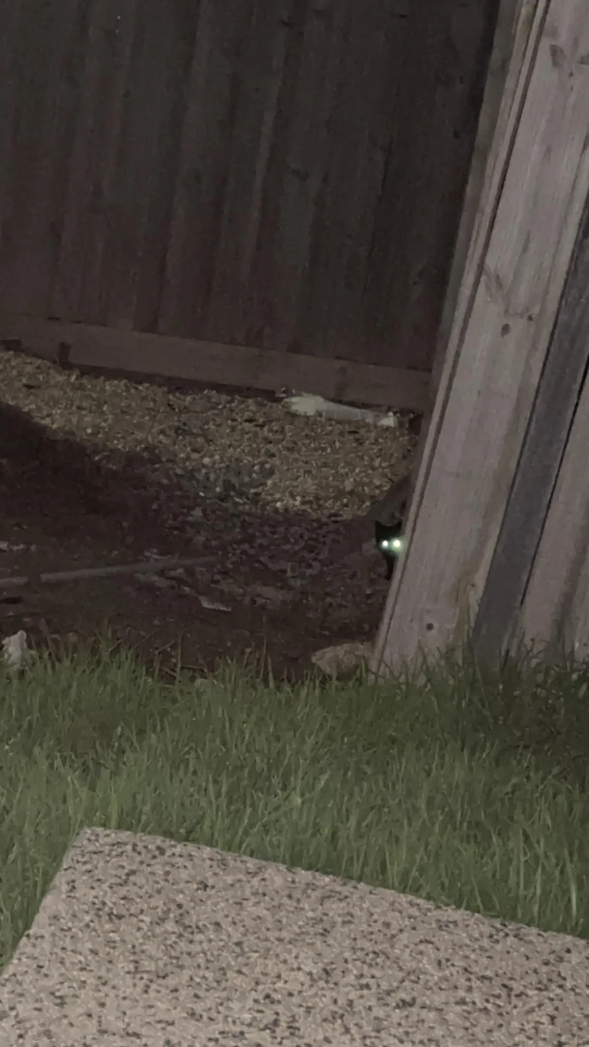 Cat distribution system