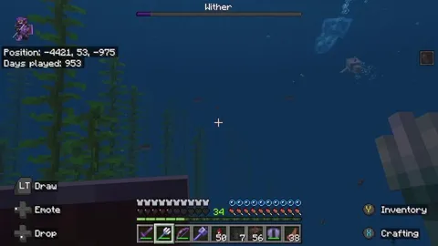 Have you ever seen a dolphin kill the wither?
