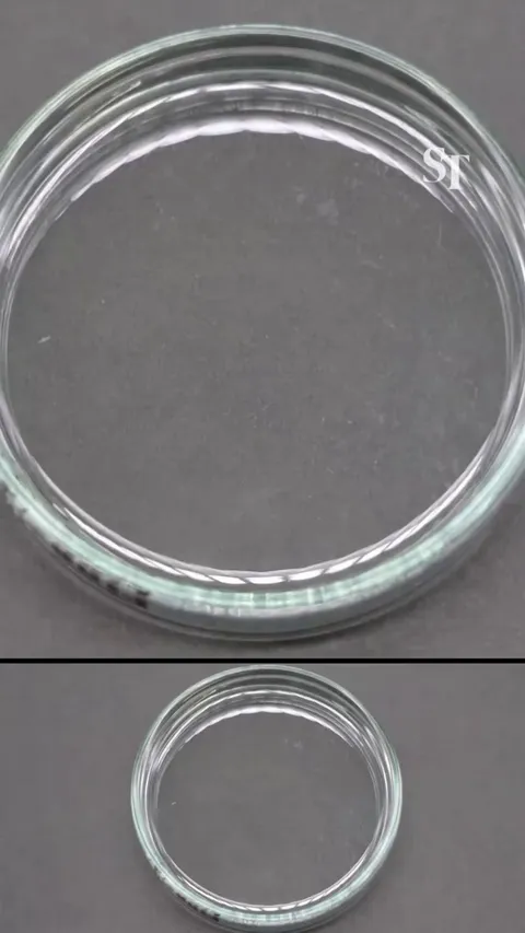 scientists in Japan have developed a new kind of plastic that dissolves in seawater within hours.