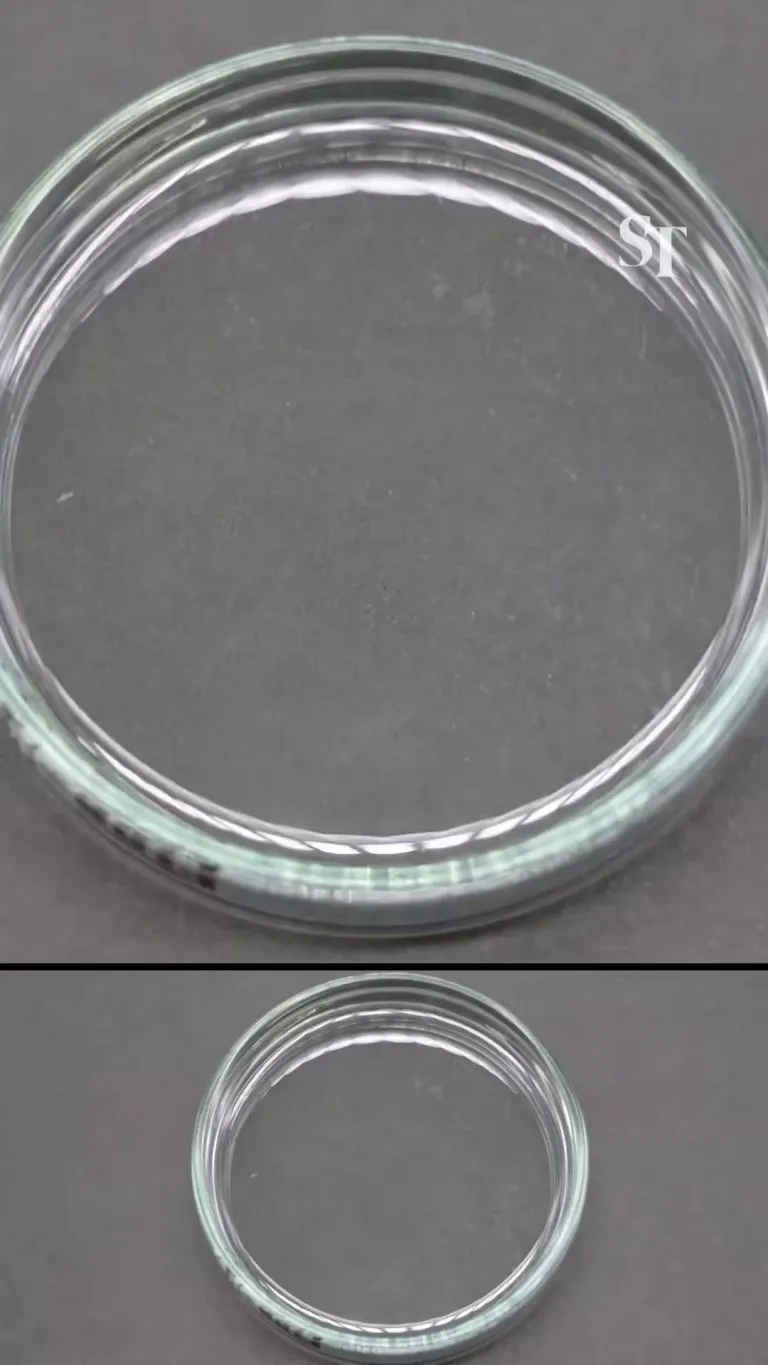 scientists in Japan have developed a new kind of plastic that dissolves in seawater within hours.