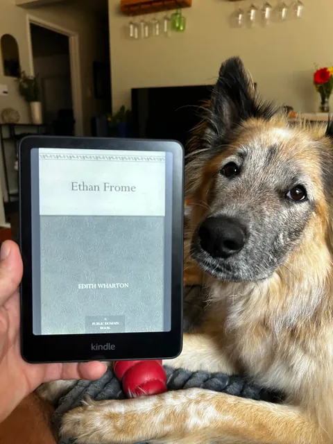 Celebrating two years with Snacks, our big goofy rescue dog