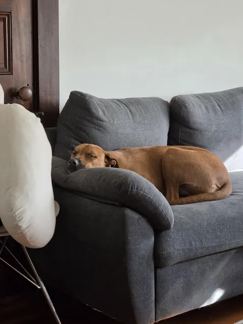 Security Trainee caught napping, will report to Supervisor.