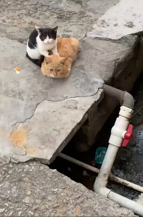 The service here is so comfortable. 