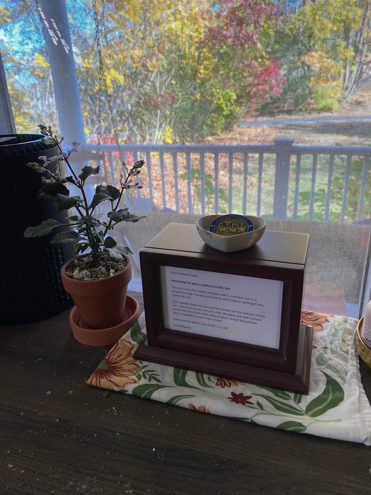 I’m sorry for the sad post. My girl is home.