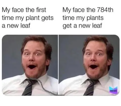 Every single time 🪴♥️