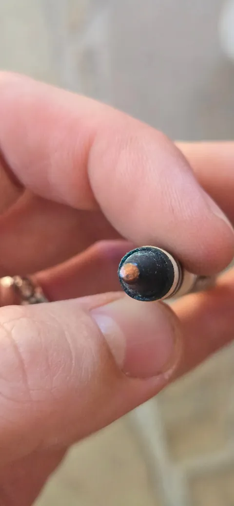 My copper crayon did what copper does and turned green