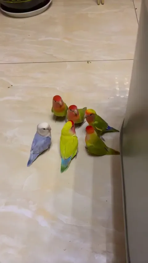 This is a very important meeting