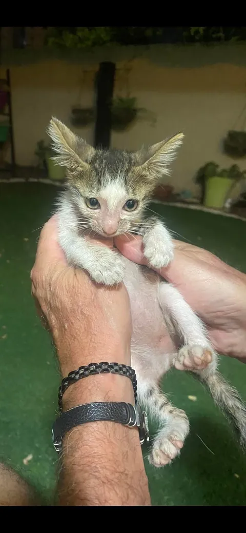 Before &amp; after, 5 months apart