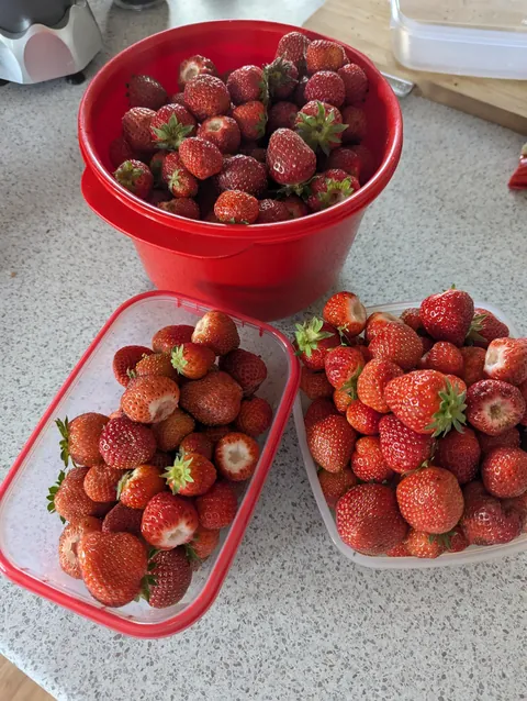 The strawberry pyramid 