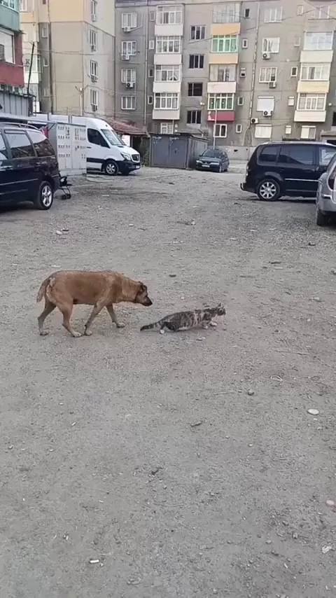 I'm tired of waiting