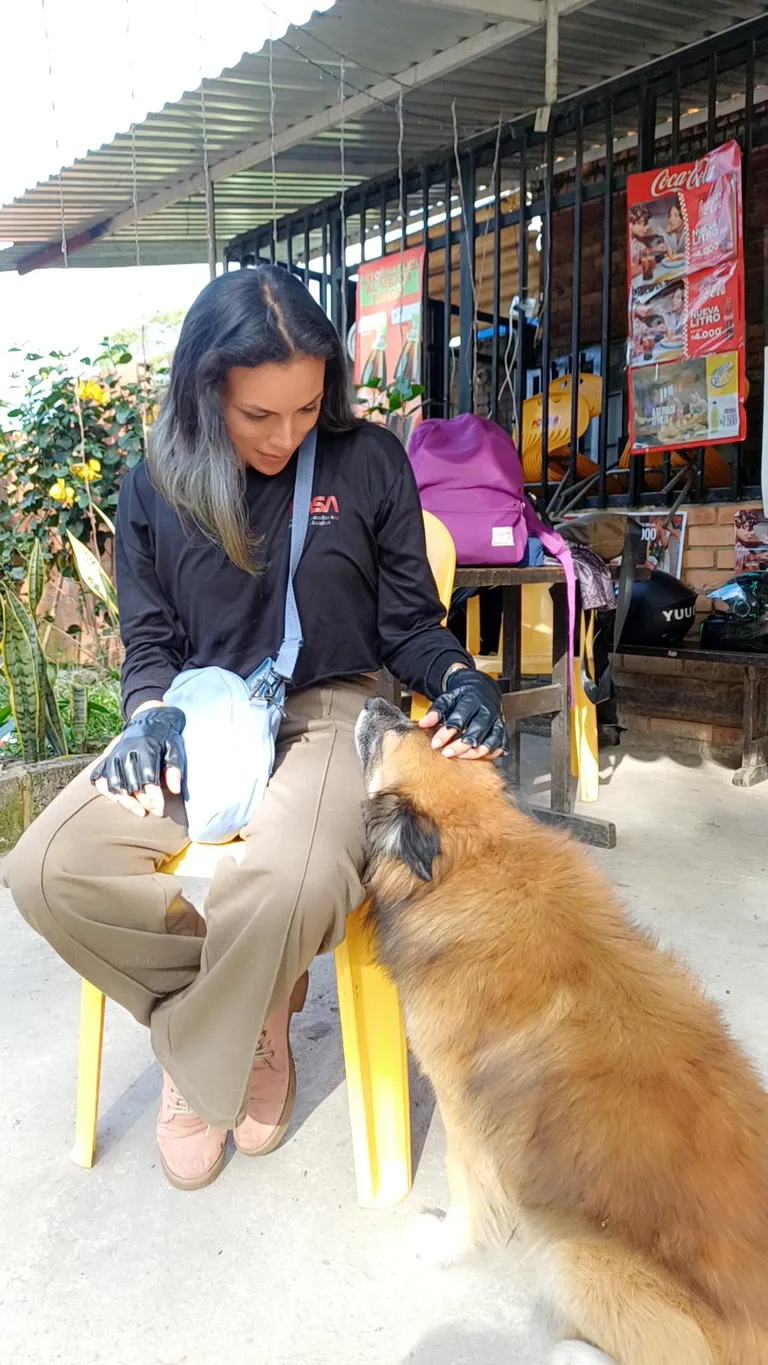 "I stopped for a quick drink... and this little soul came over and rested his chin on my leg. It was pure magic."