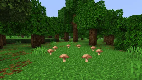 Should Minecraft Generate Fairy Rings in Forests?