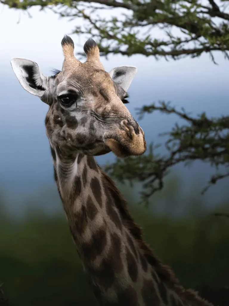 Photographer Shows His POV vs The Photos He Takes.